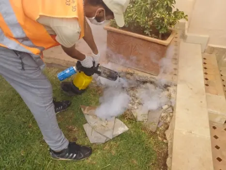 fumigation fumigation villa