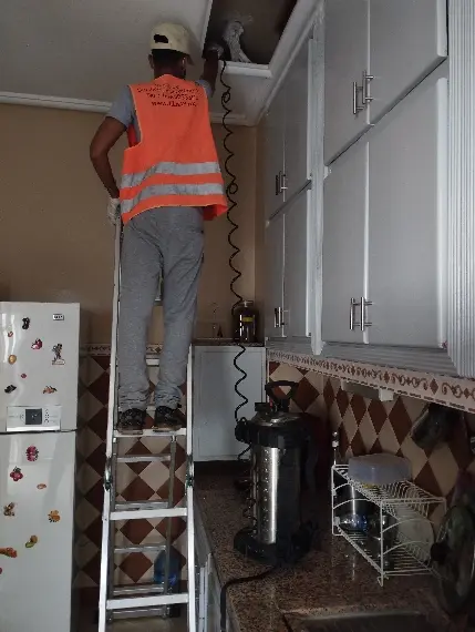 dératisation traitement plafond
