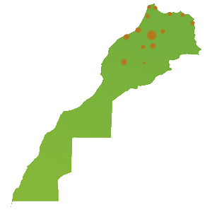 LE MAROC LE MAROC